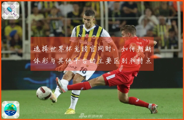 选择世界杯竞猜官网时，如何判断体彩与其他平台的主要区别和特点？