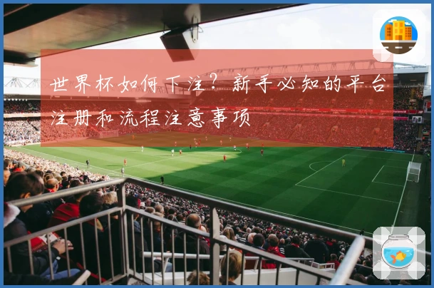世界杯如何下注？新手必知的平台注册和流程注意事项